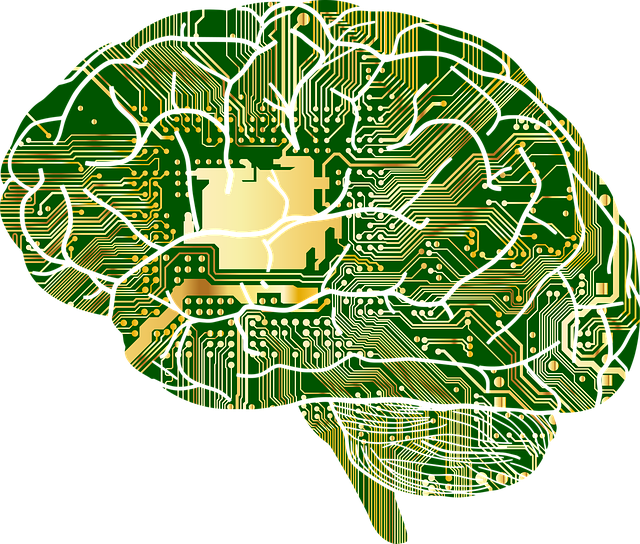 Brain that internally looks like a memory board.