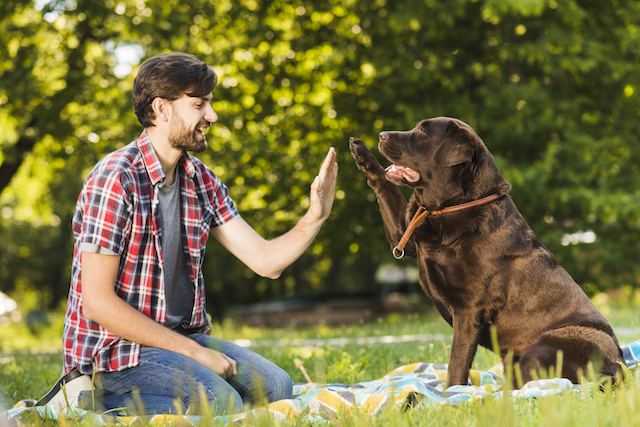 happy man with no stress high-fiving a dog.