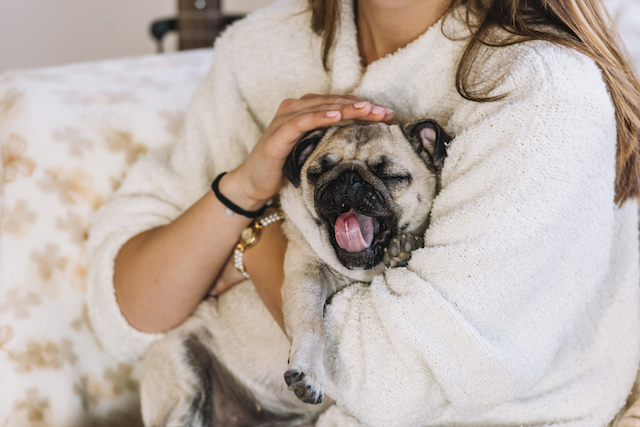 girl petting a sleepy puppy.