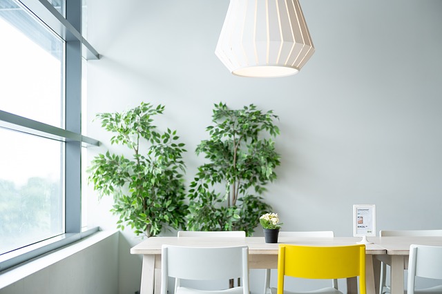 an office room with plants.
